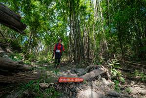 BIB: 
                            <button type="button" onclick="openModal(19394000)" class="btn btn-primary btn-sm float-right btn-popup" data-toggle="modal" data-target=".modal-high-quality">
                        <i class="fas fa-shopping-cart"></i> Add to Cart
                    </button>
                                            <button type="button" onclick="isThisMe(19394000, true)" class="btn btn-success btn-sm float-right btn-popup btn-isme hidden" data-toggle="tooltip" data-placement="bottom" title="นี่คือรูปของคุณใช่ไหม คลิกที่นี่เพื่อเอาเข้าอัลบั้ม">
                        <i class="fas fa-plus"></i> Add to album
                    </button>
                    <button type="button" onclick="isThisMe(19394000, false)" class="btn btn-warning btn-sm float-right btn-popup btn-isnotme hidden">
                        <i class="fas fa-ban"></i> Remove from album
                    </button>